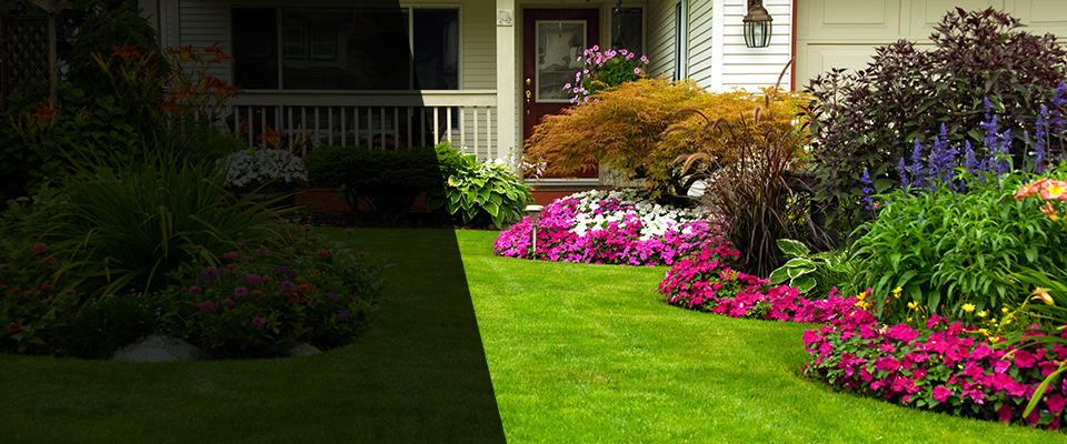 Hollywood Landscapers